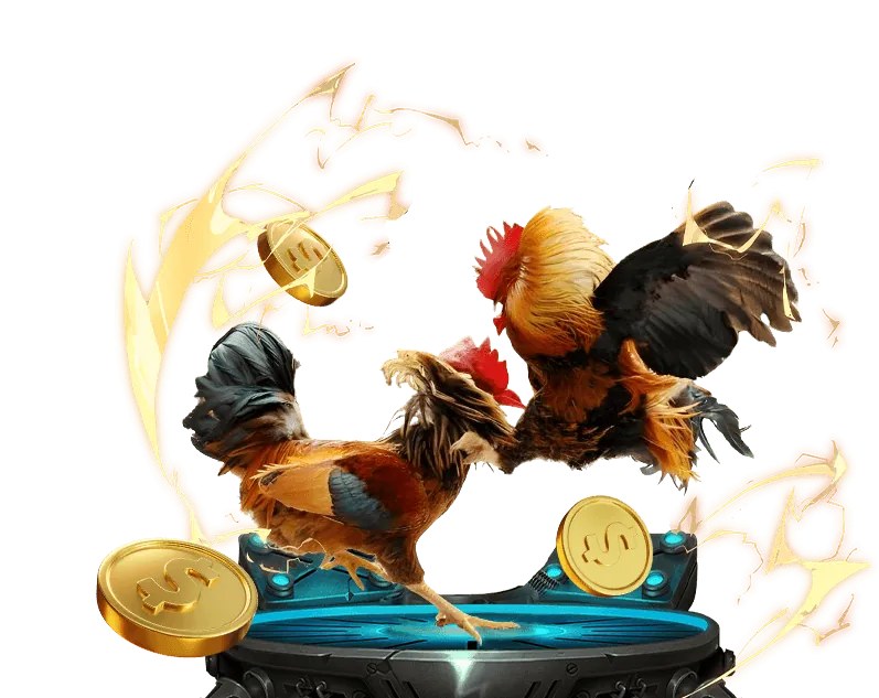 Đá Gà Trực Tiếp K9K9 Đăng Nhập